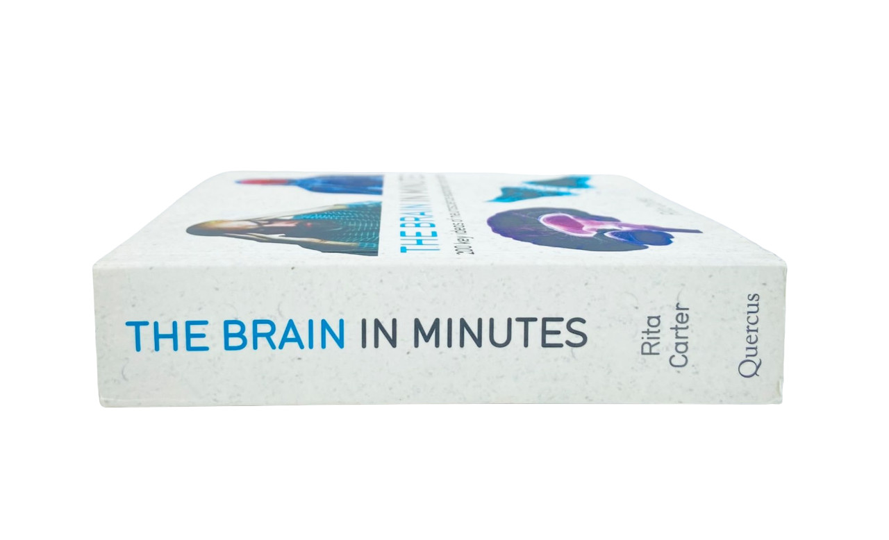 The Brain in Minutes: 200 key ideas of neuroscience explained in an instant