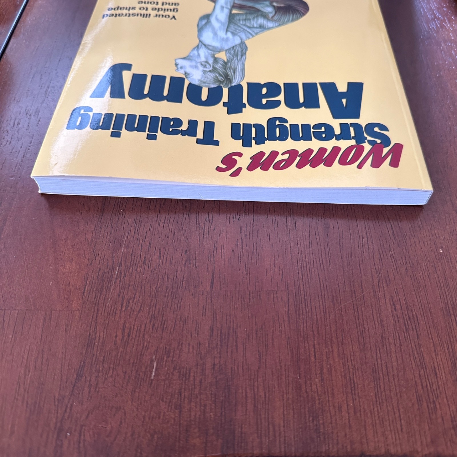Women’s Strength Training Anatomy Paperback By Frederic Delavier