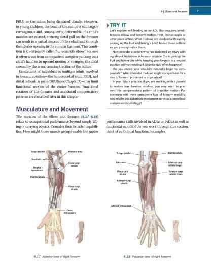 Functional Anatomy for Occupational Therapy – 1st Edition