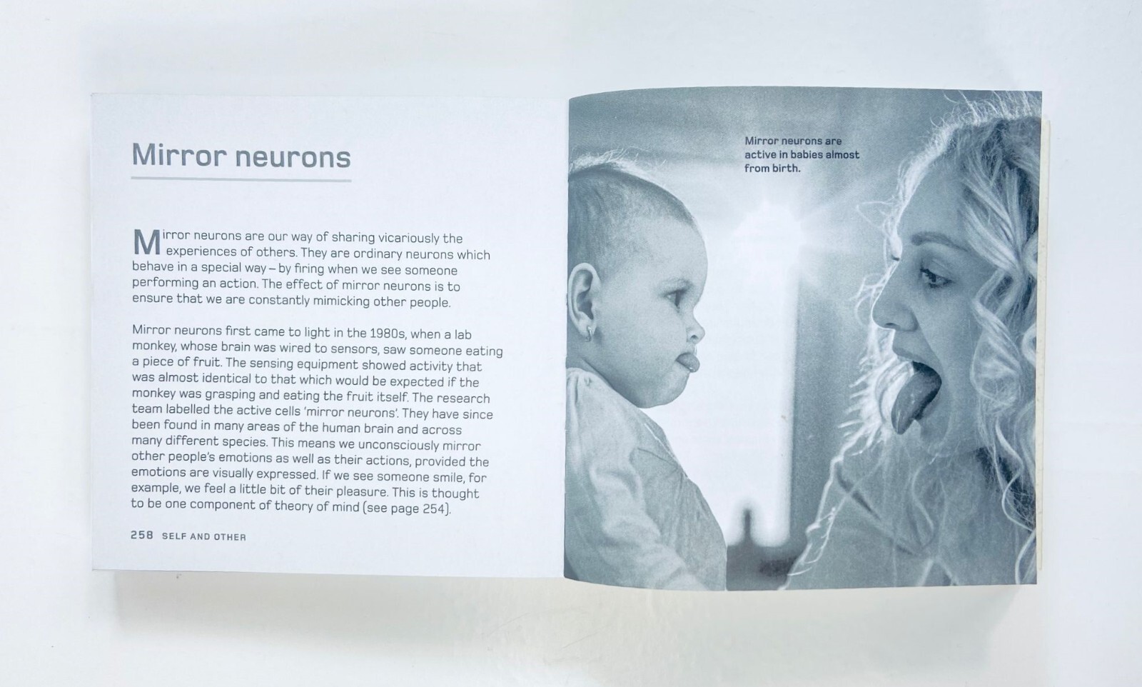 The Brain in Minutes: 200 key ideas of neuroscience explained in an instant