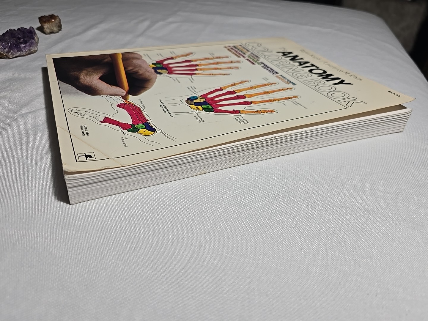 Anatomy Coloring Book 1977 Vintage Wynn Kapit Elson Science Practice Clean Pages