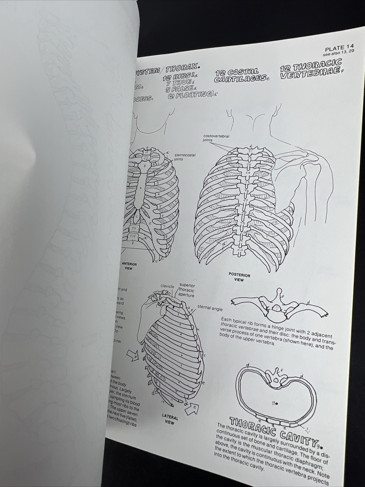 The Anatomy Coloring Book – Paperback By Kapit, Wynn 1977 Unused