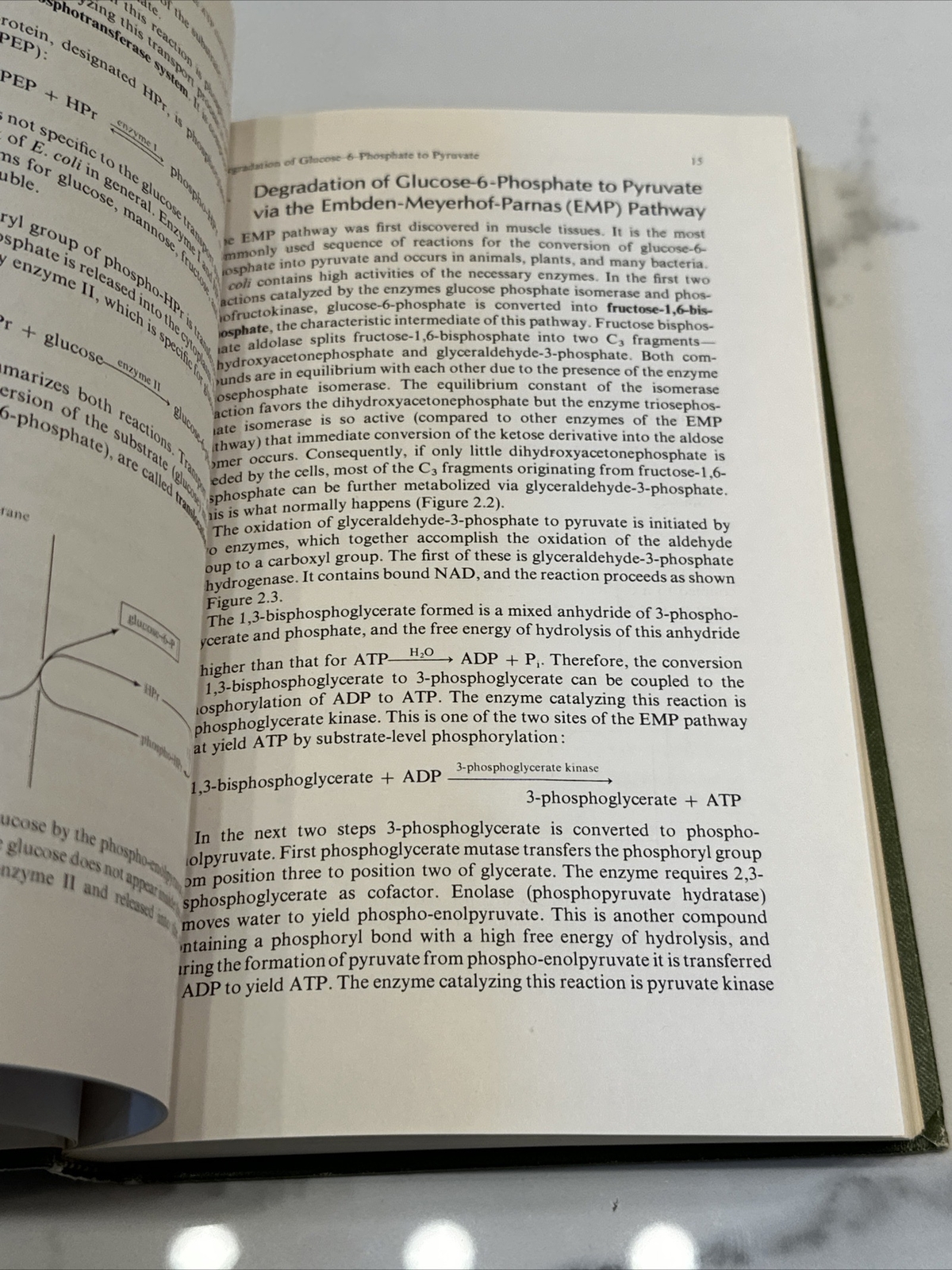 Bacterial Metabolism by Gottschalk, Gerhard Springer Verlag New York 1979 HC