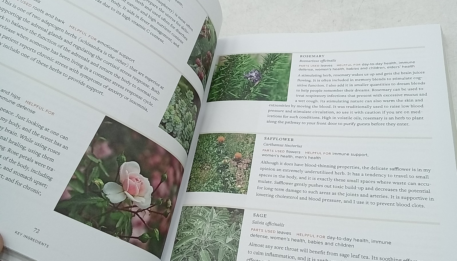 Master Recipes from the Herbal Apothecary 375 Tinctures Salves Teas Capsules