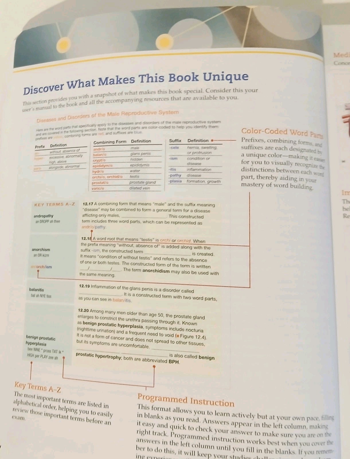 Medical Terminology Complete! – Paperback, by Wingerd – Very Good (No Writing)
