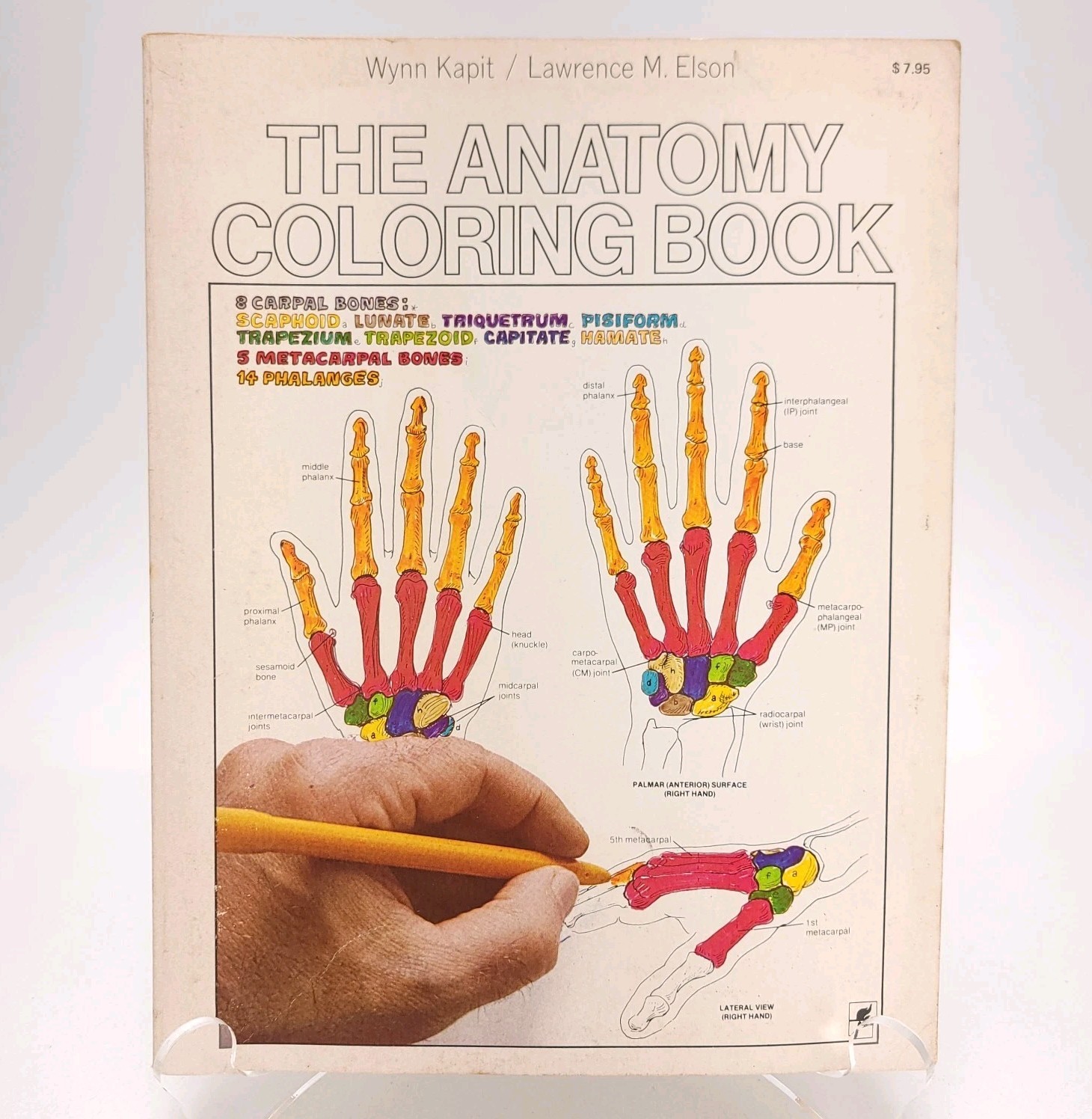 The Anatomy Coloring Book – Paperback By Kapit, Wynn 1977 Unused