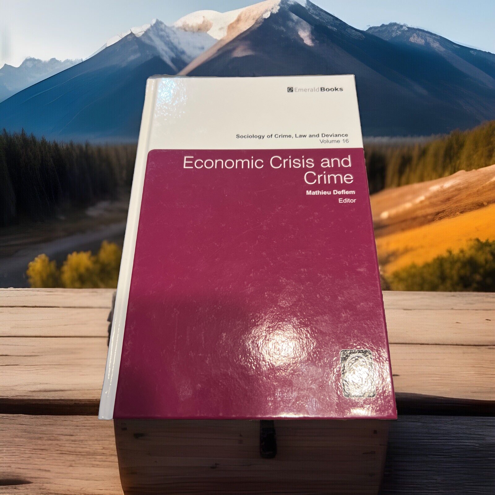 Economic Crisis and Crime: v.16 (Sociology of Crime, Law and Deviance) – VG