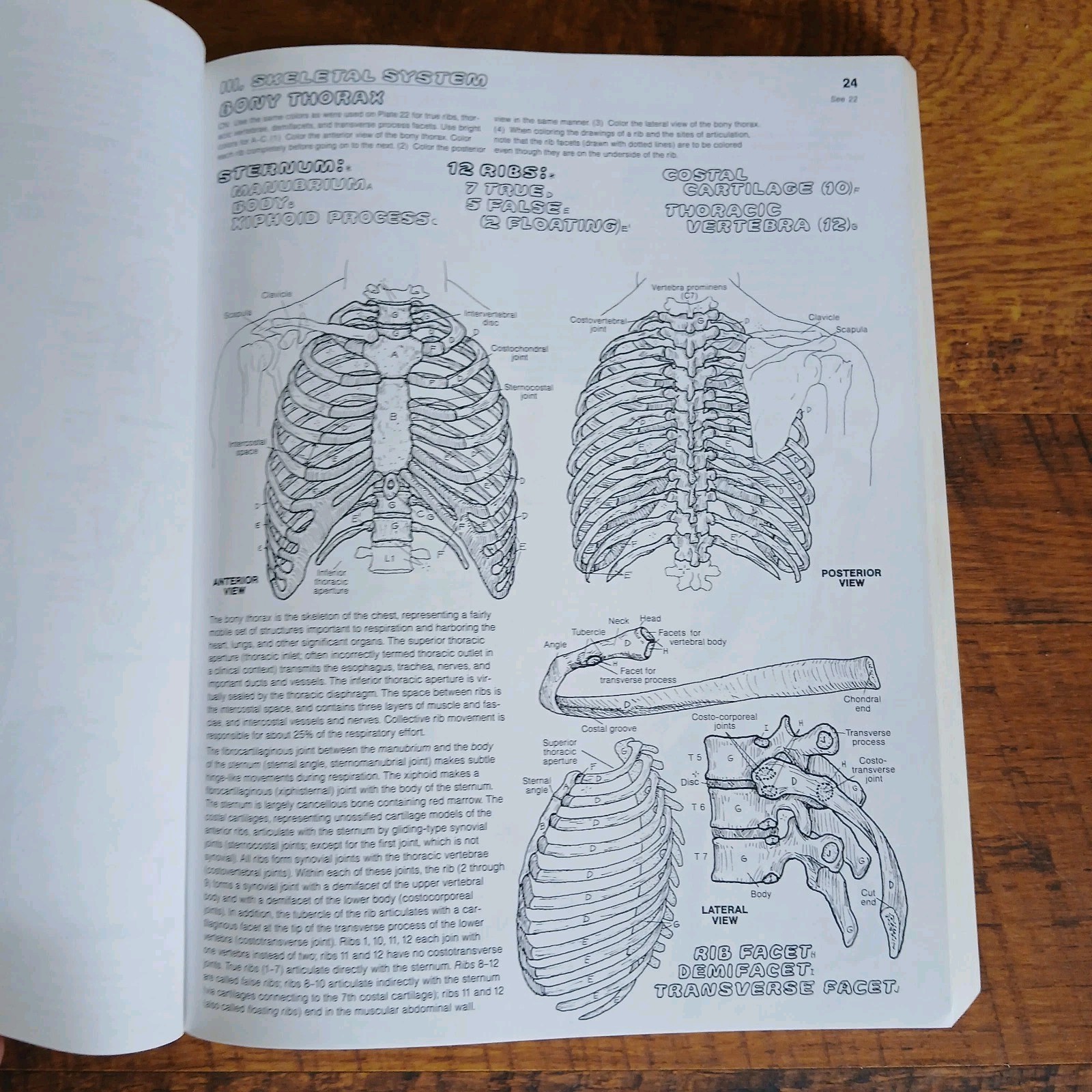 Lot Of 3 Science Coloring Books Biology Anatomy Zoology Vintage