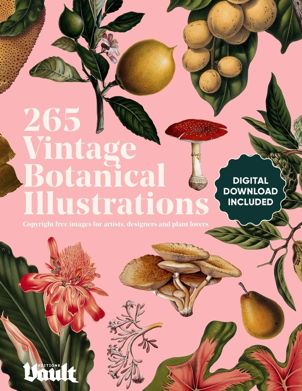 Vintage Botanical Illustration: Copyright-Free Images for Artists, Designers…