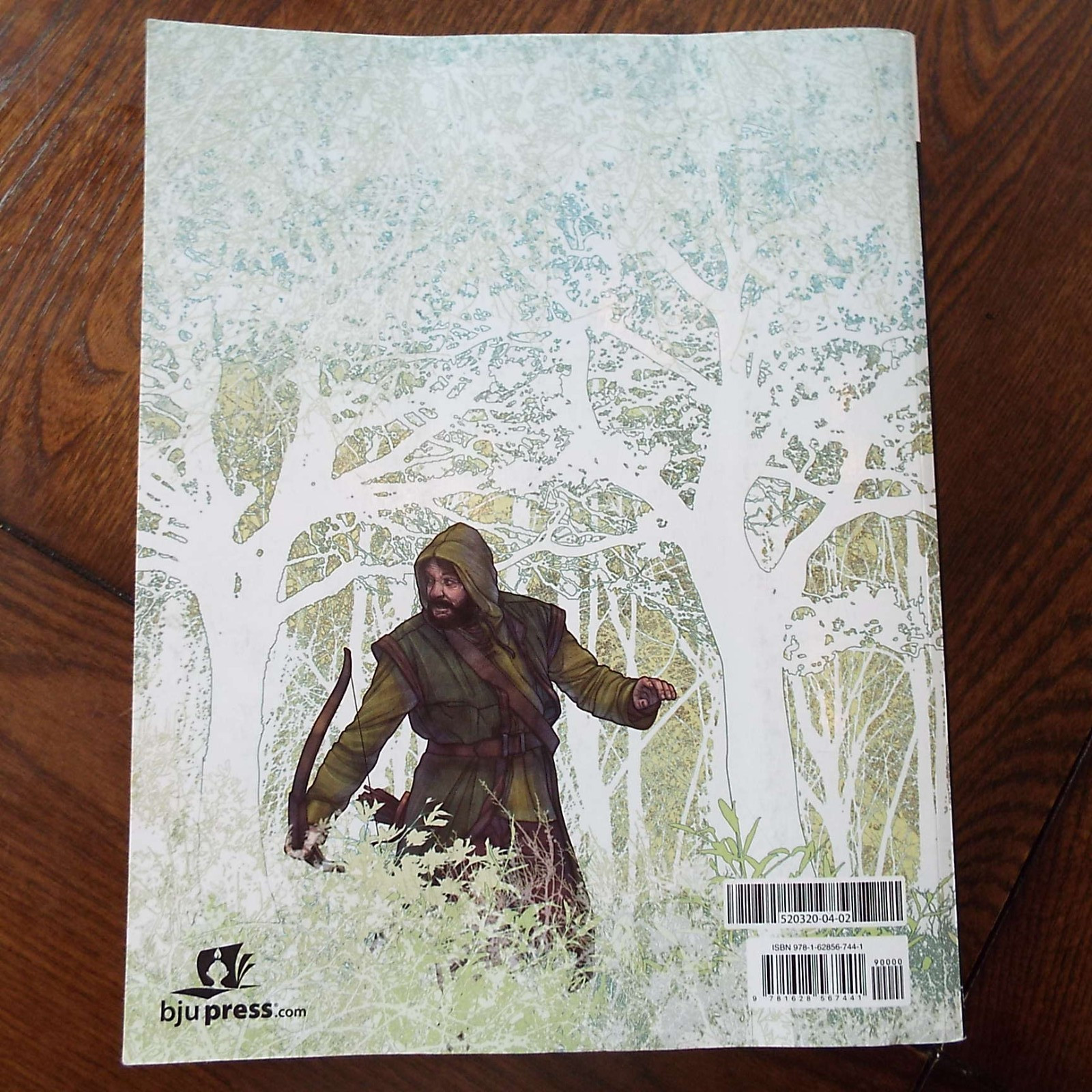 BJU Press Perspectives in Literature Fourth Edition Student Textbook ONLY