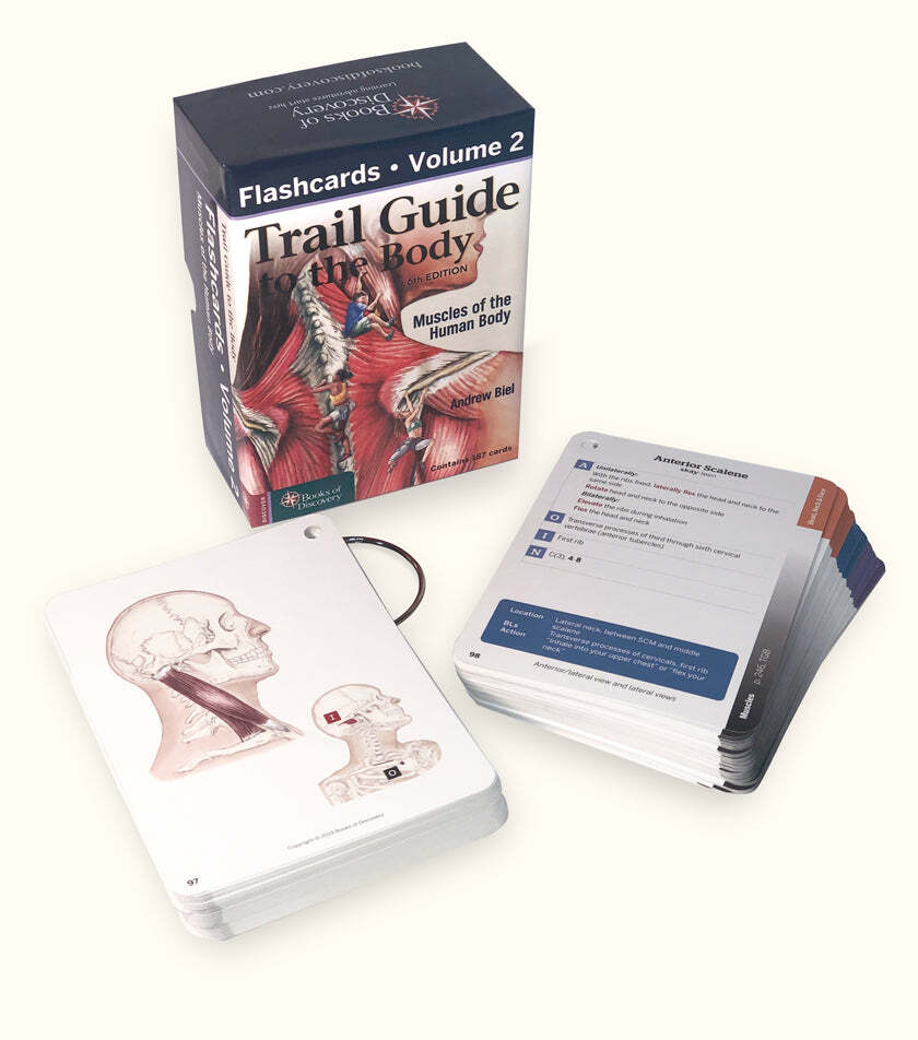 Trail Guide to the Body Flashcards Volume 2 – 6th Edition