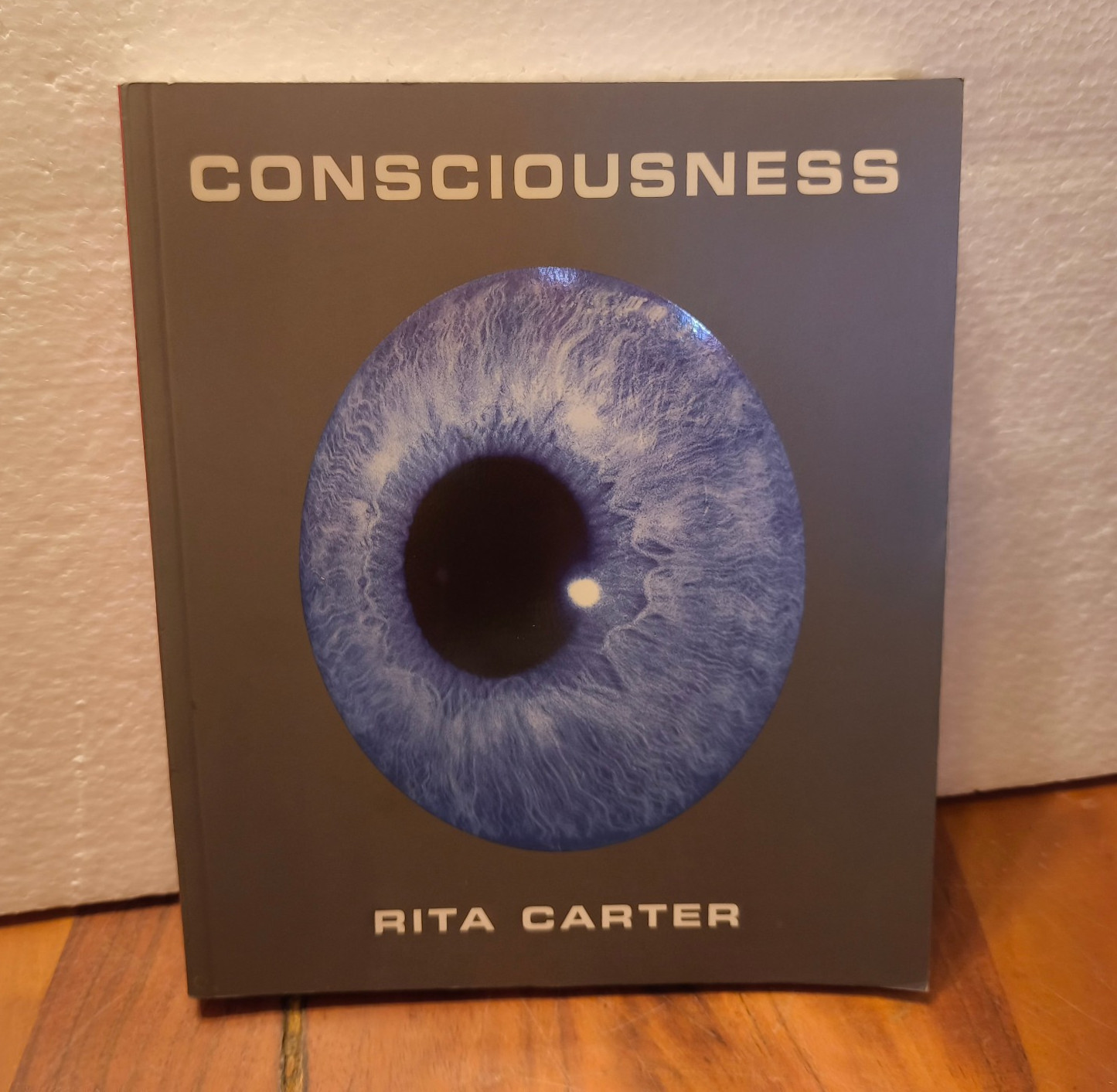 Consciousness- Rita Carter