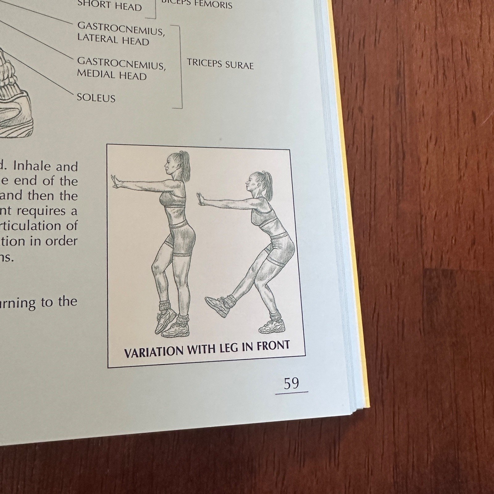 Women’s Strength Training Anatomy Paperback By Frederic Delavier