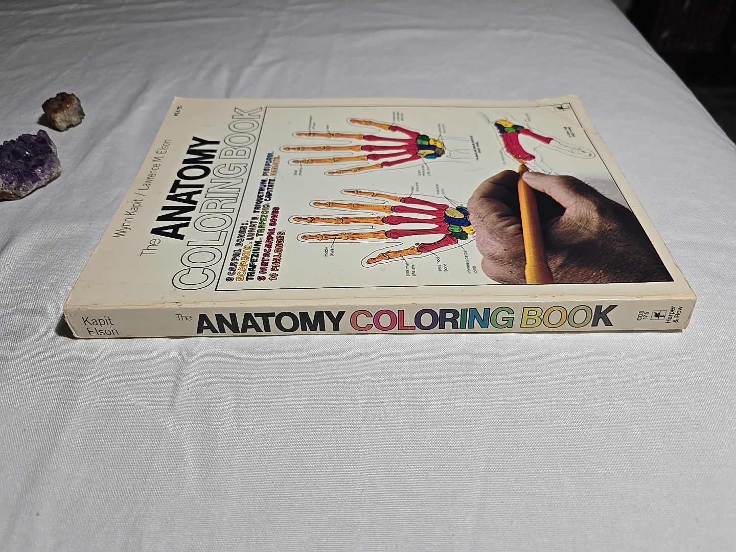 Anatomy Coloring Book 1977 Vintage Wynn Kapit Elson Science Practice Clean Pages