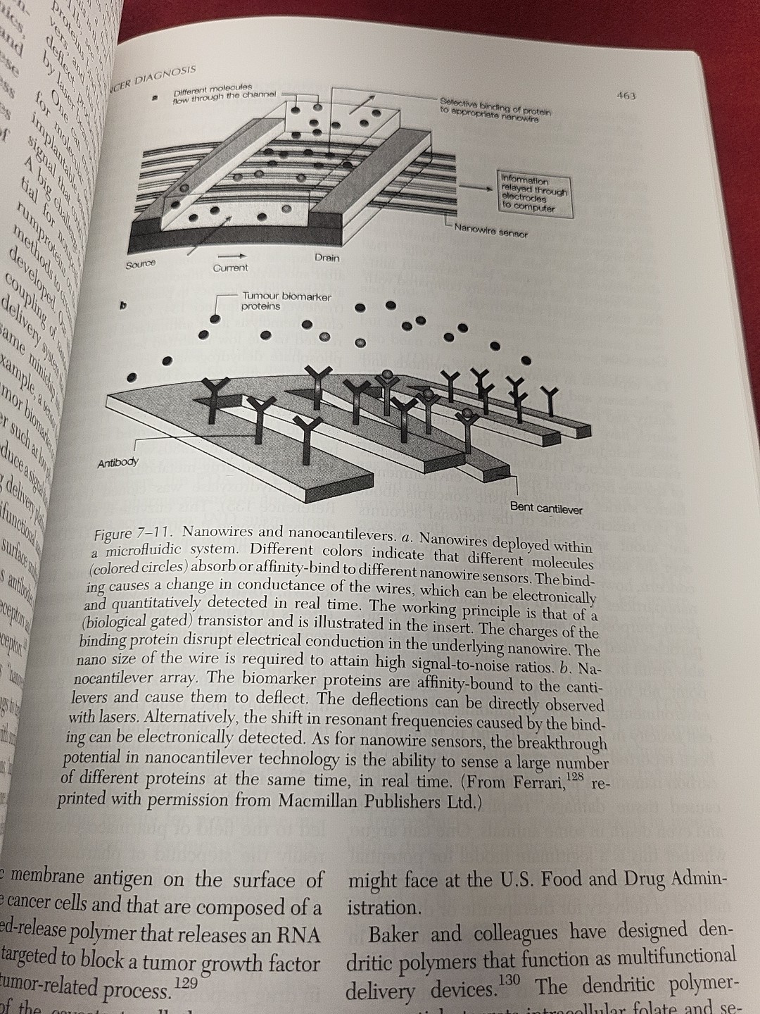 Cancer Biology – Fourth 4th Edition – Raymond Ruddon (PB, 2007)