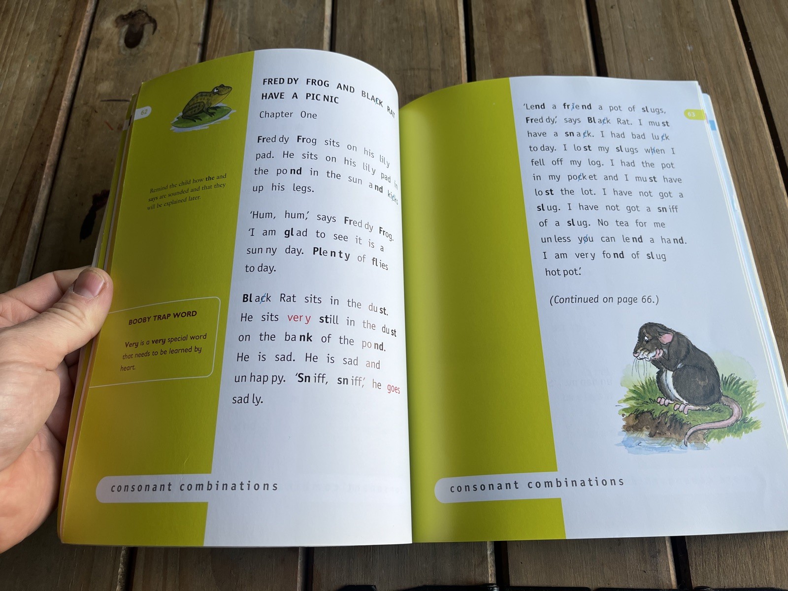 Phonics : The Easy Way by Annis Garfield (2007, Uk-Trade Paper)