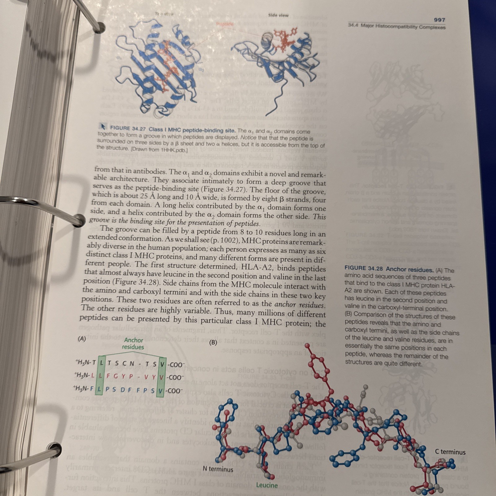 Biochemistry by John L. Tymoczko, Jeremy M. Berg, Gregory J. Gatto Jr. and…