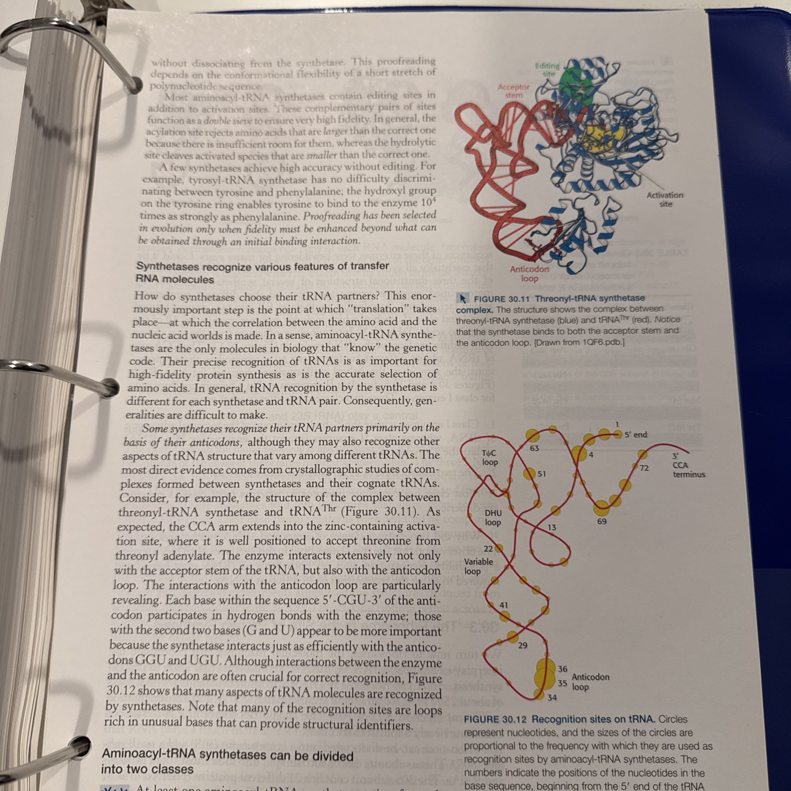 Biochemistry by John L. Tymoczko, Jeremy M. Berg, Gregory J. Gatto Jr. and…