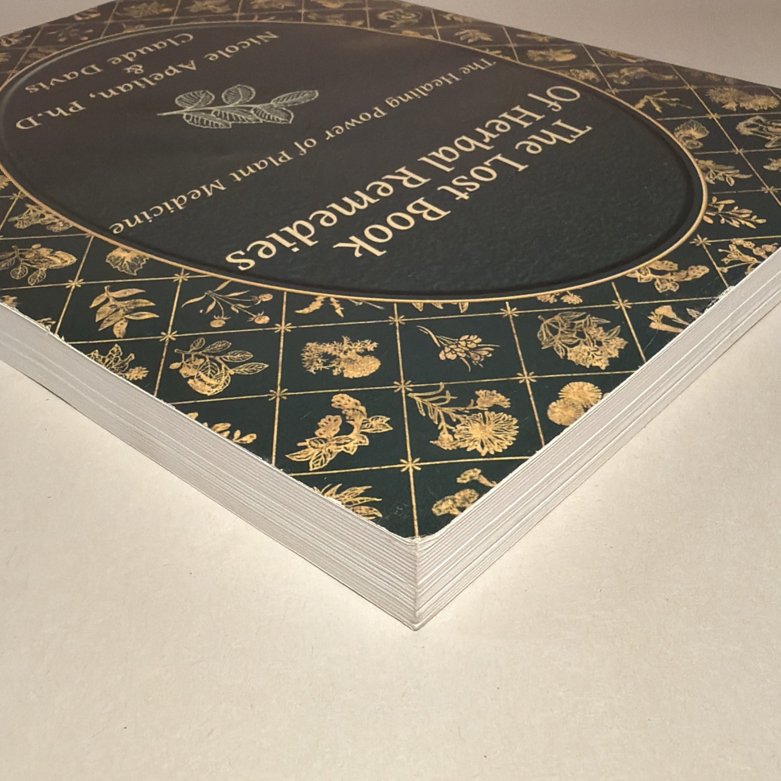 The Lost Book of Herbal Remedies (paperback with color pictures)