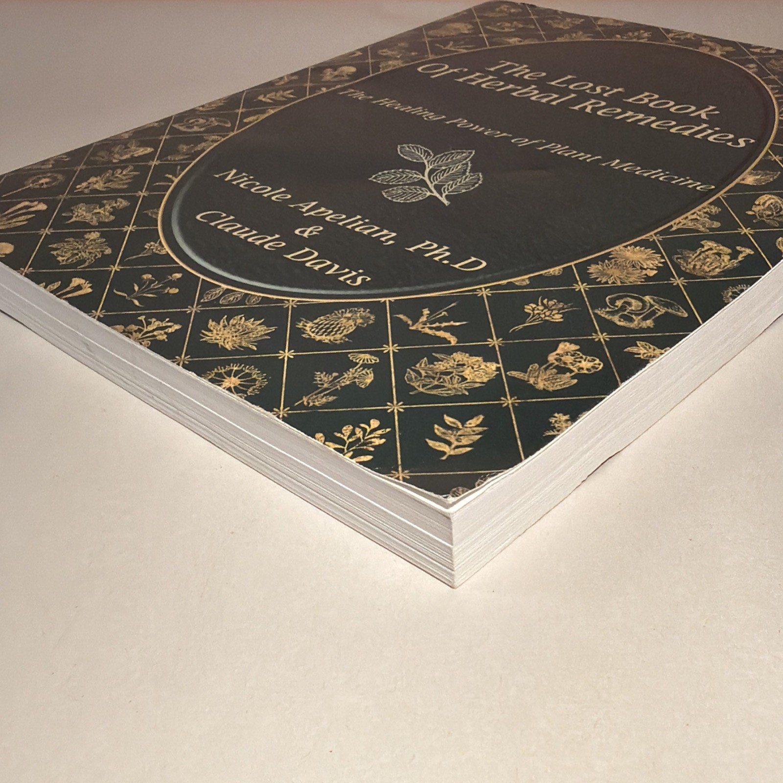 The Lost Book of Herbal Remedies (paperback with color pictures)