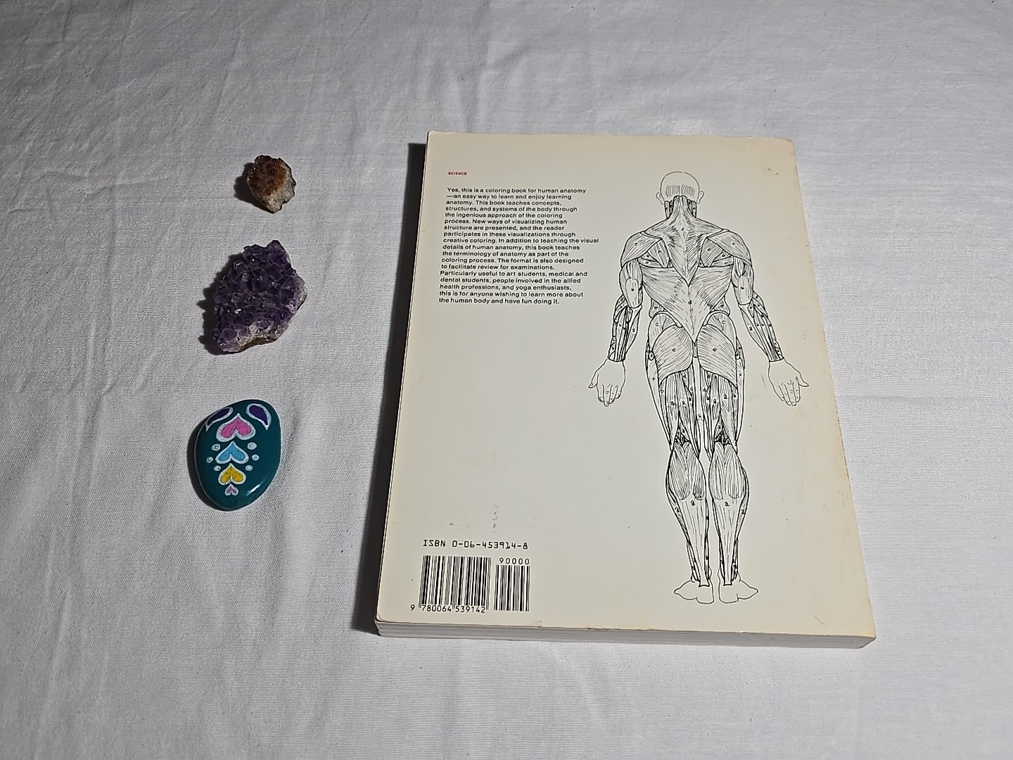 Anatomy Coloring Book 1977 Vintage Wynn Kapit Elson Science Practice Clean Pages