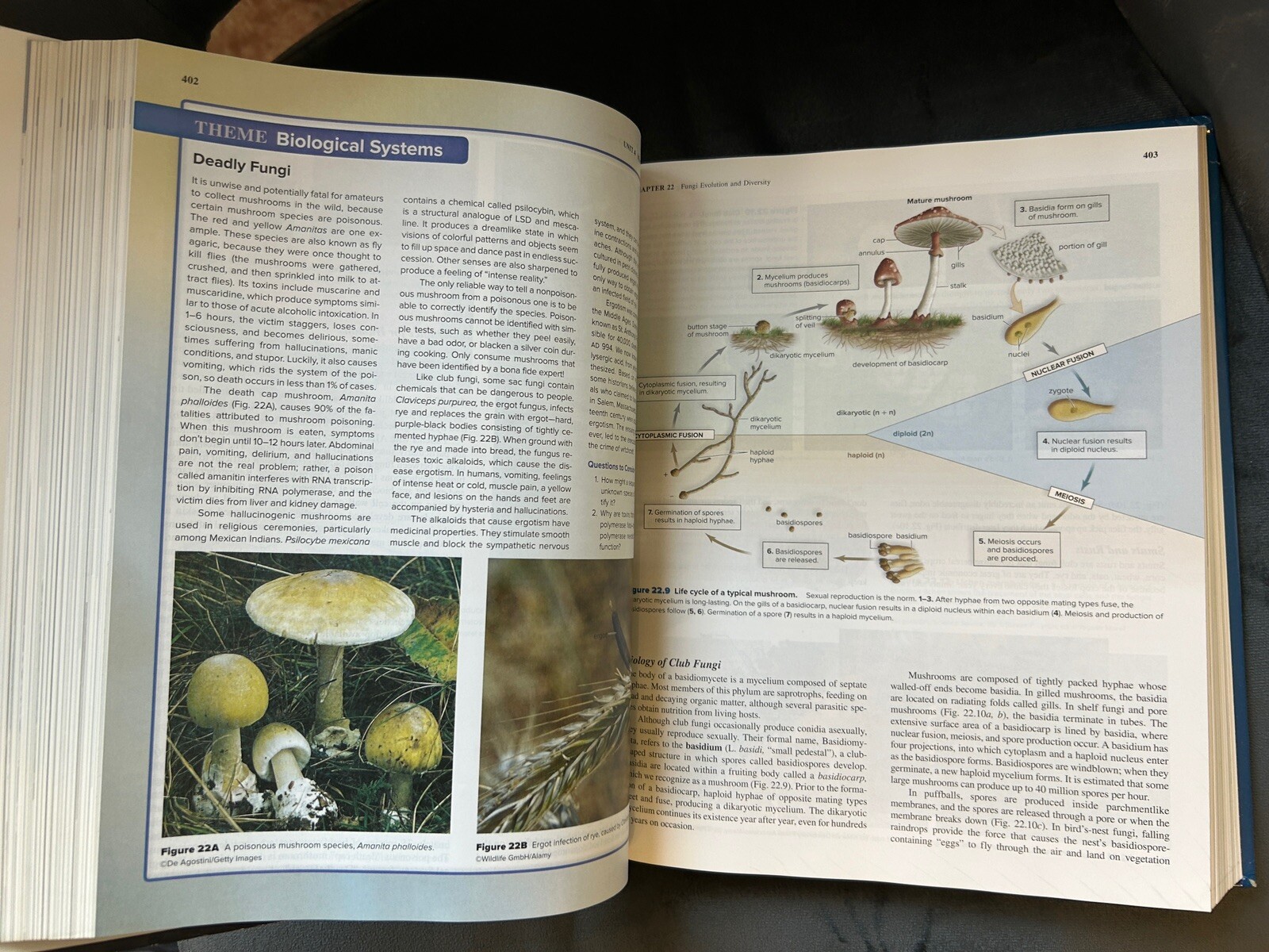 Lab Manual for Maders Biology by Sylvia S. Mader (2018, Mixed Media)