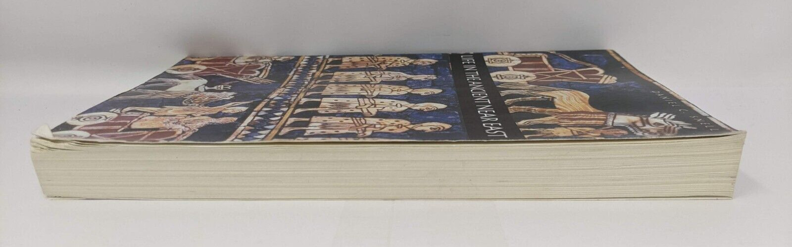 Life in the Ancient Near East (Yale University Press Paperback) Daniel C. Snail