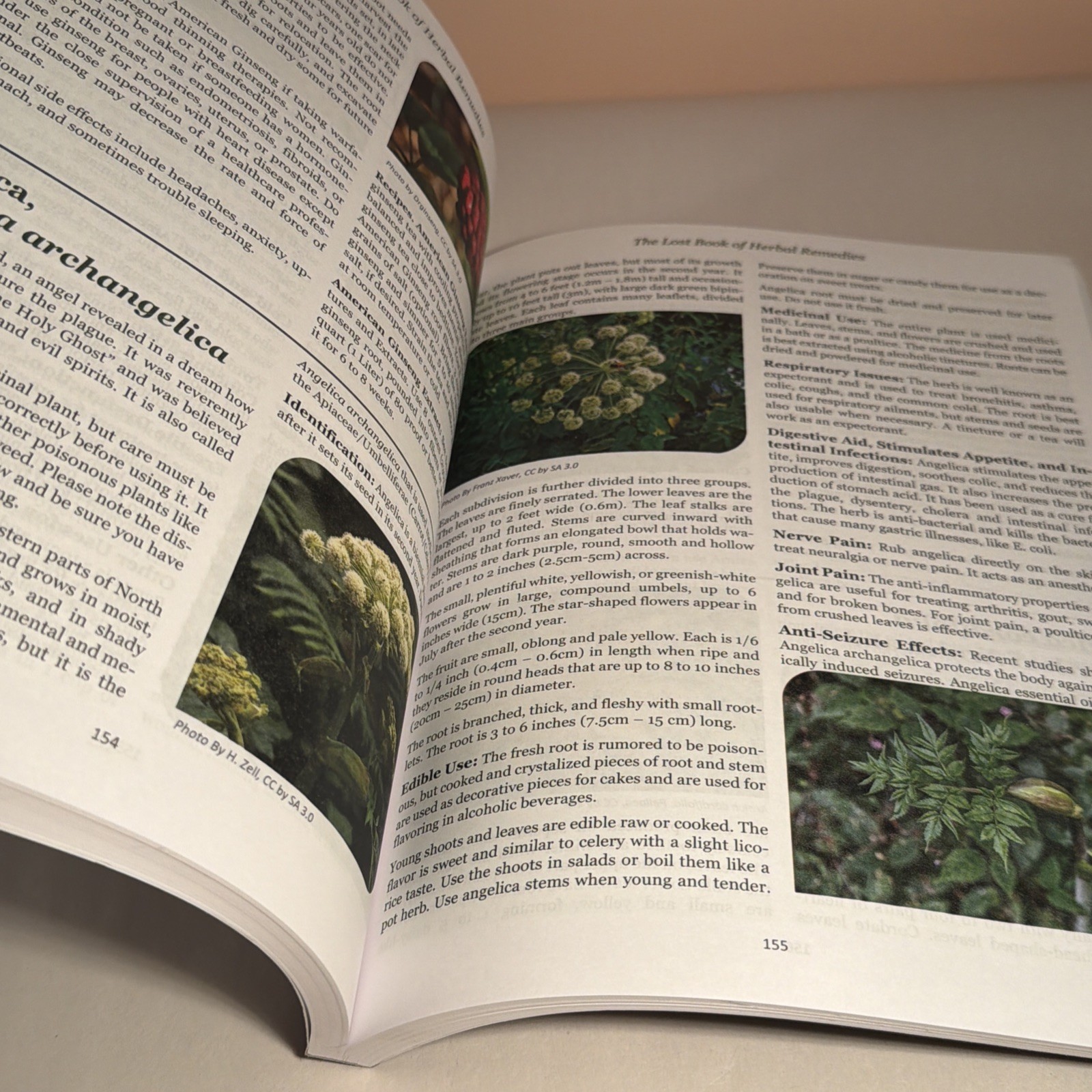 The Lost Book of Herbal Remedies (paperback with color pictures)