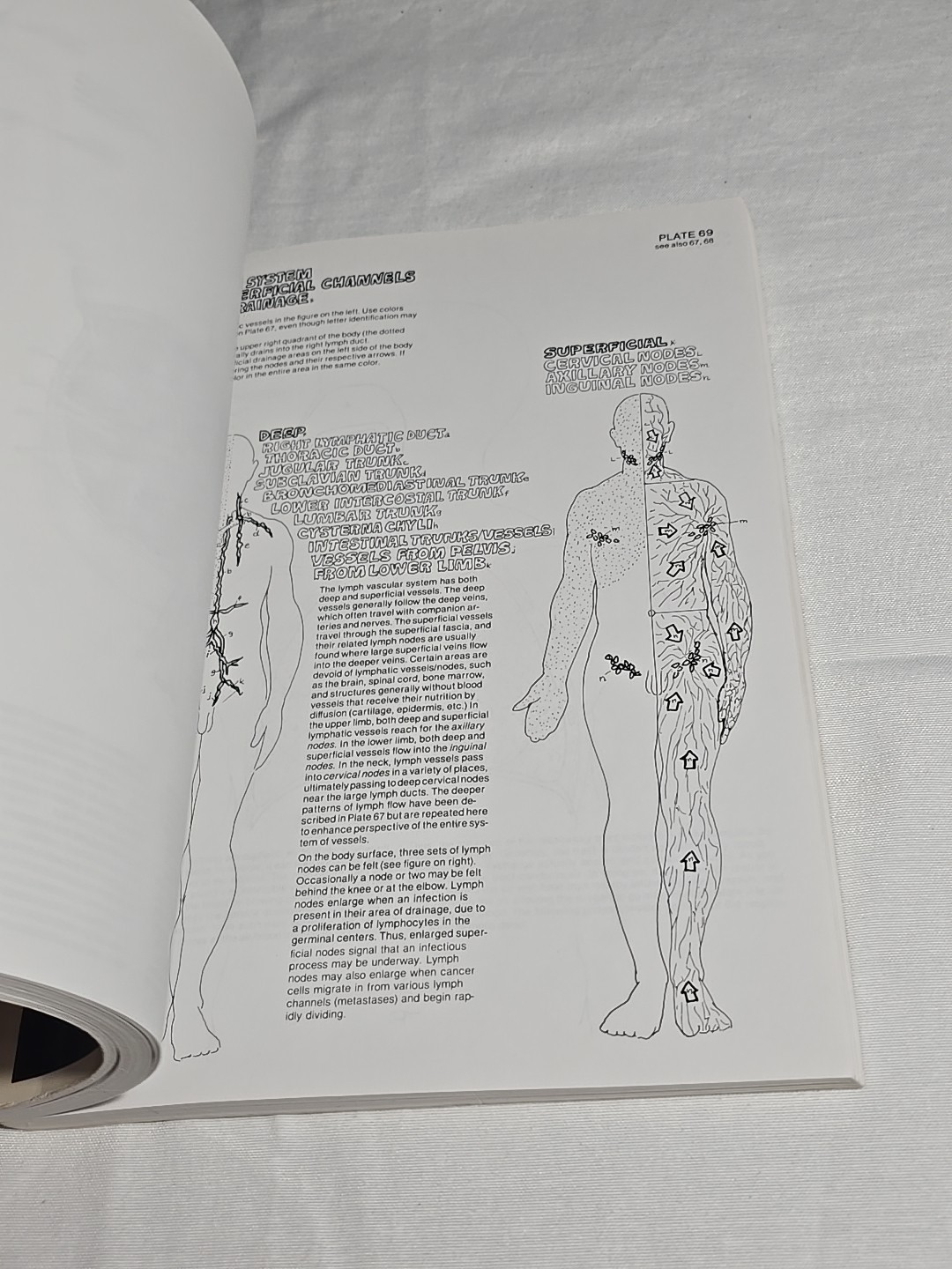 Anatomy Coloring Book 1977 Vintage Wynn Kapit Elson Science Practice Clean Pages