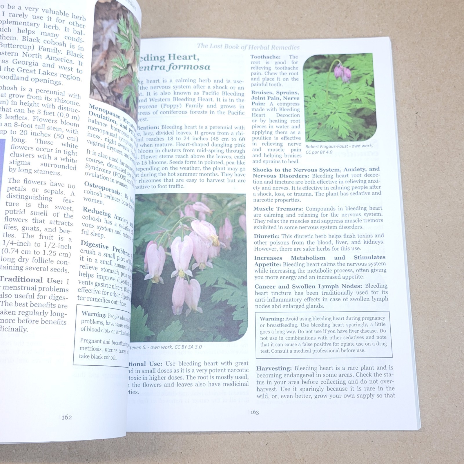 The Lost Book of Herbal Remedies: Healing Powers of Plants, Alternative Medicine