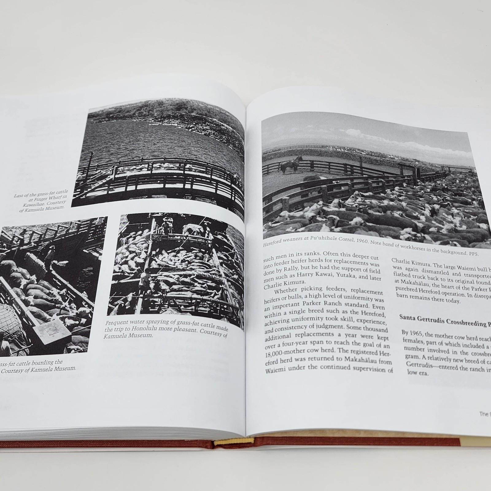 Loyal to the Land The Legendary Parker Ranch 1950-1970 Volume 2 Senior Stewards