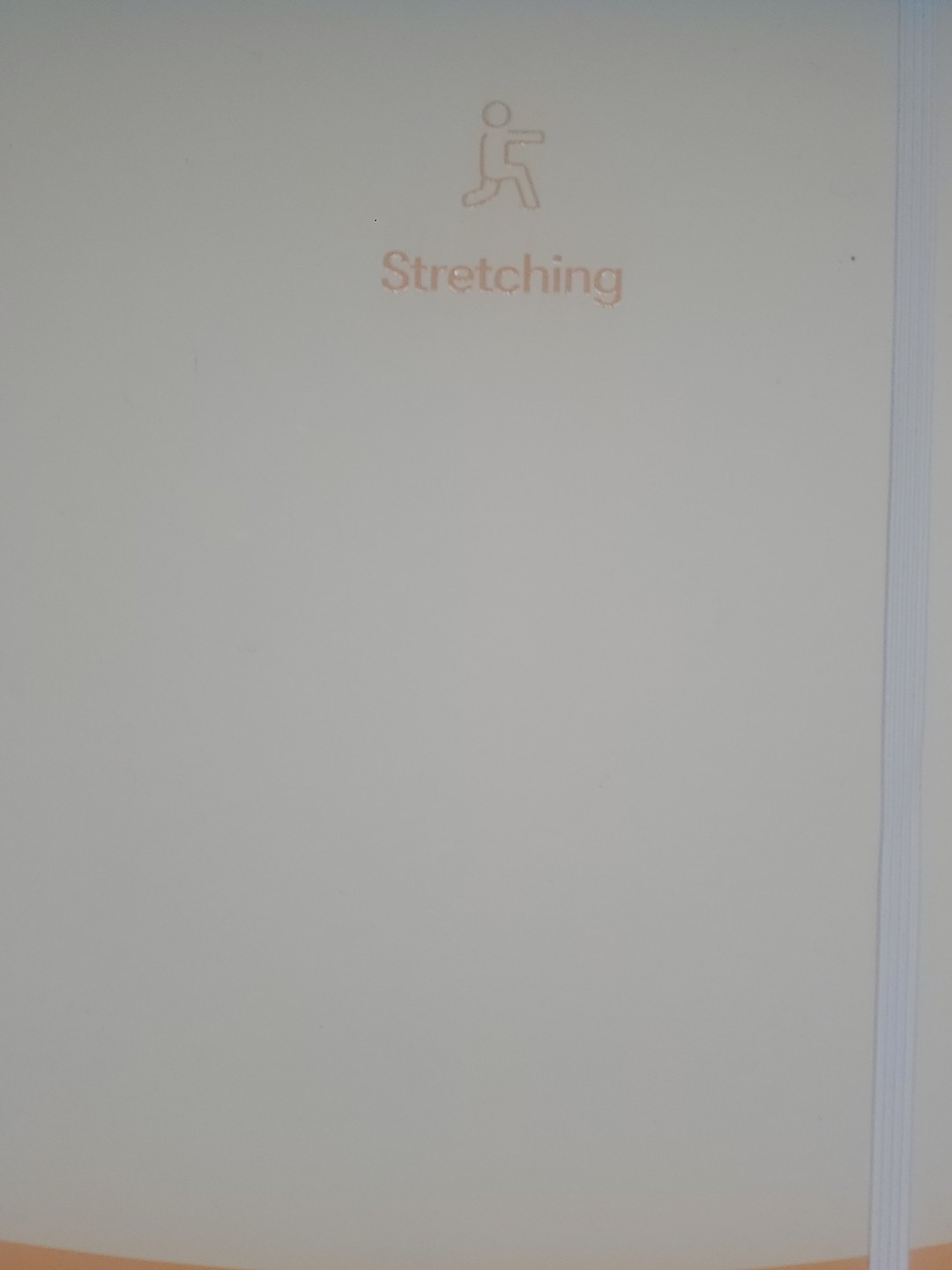 Stretching Sidekick Journal by Habit Nest Guided Stretching Volume 1