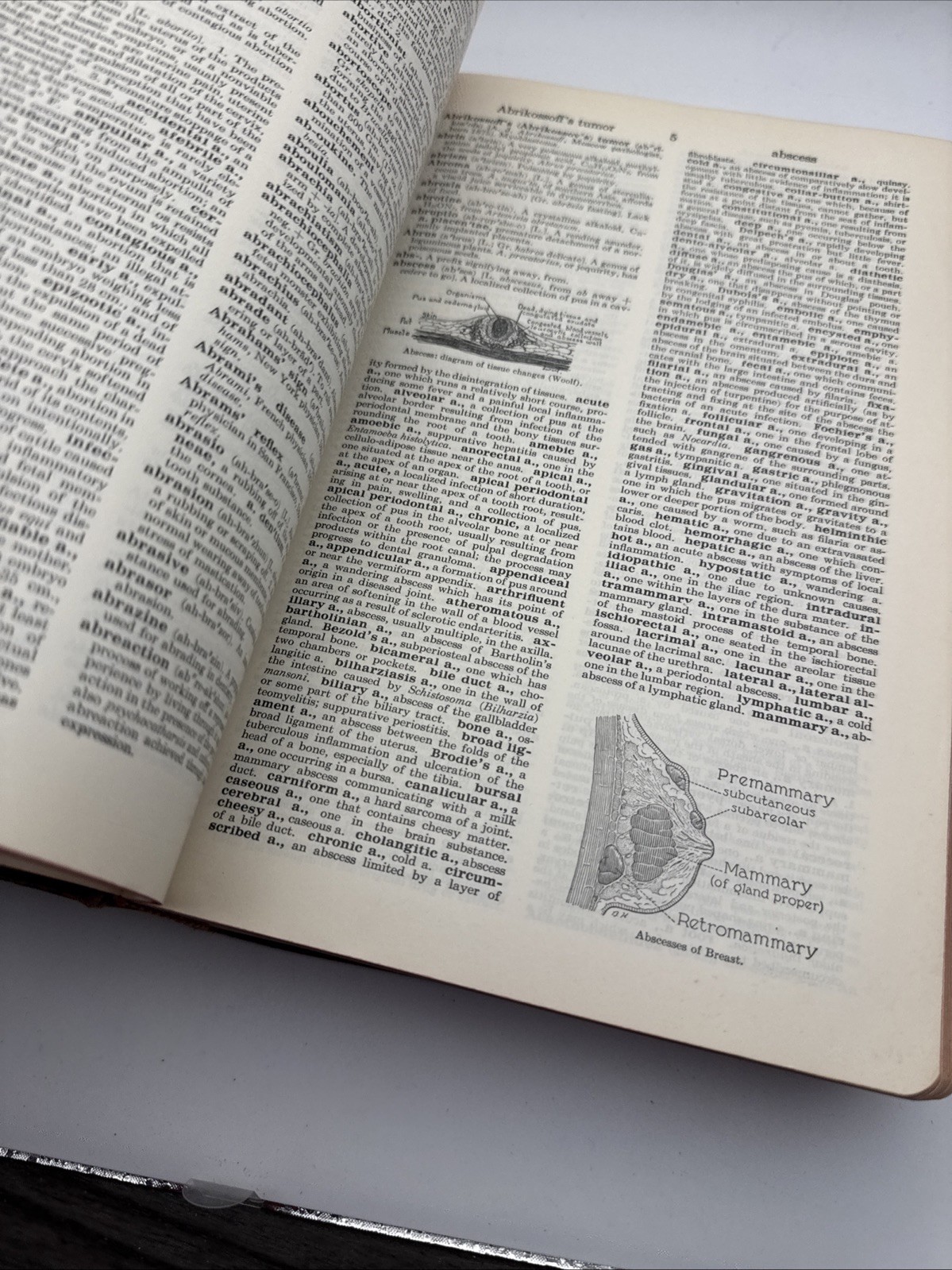Dorland’s Illustrated Medical Dictionary 23rd Edition Vintage Book 1957