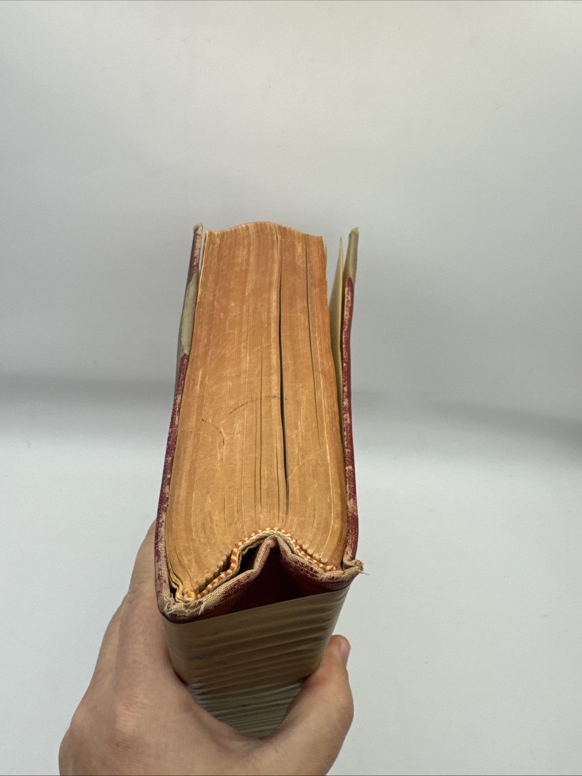 Dorland’s Illustrated Medical Dictionary 23rd Edition Vintage Book 1957