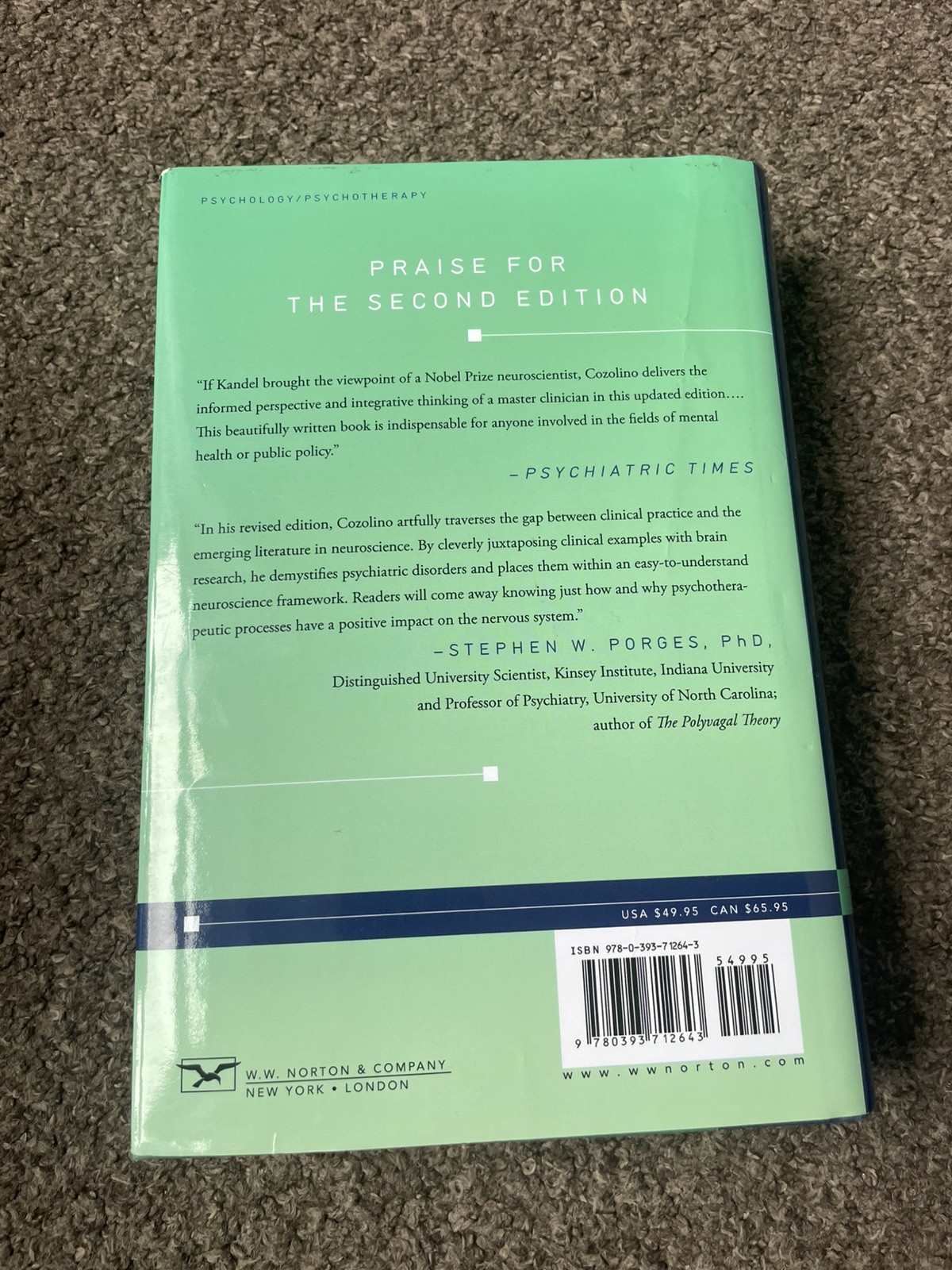 The Neuroscience of Psychotherapy: H…, Louis Cozolino…