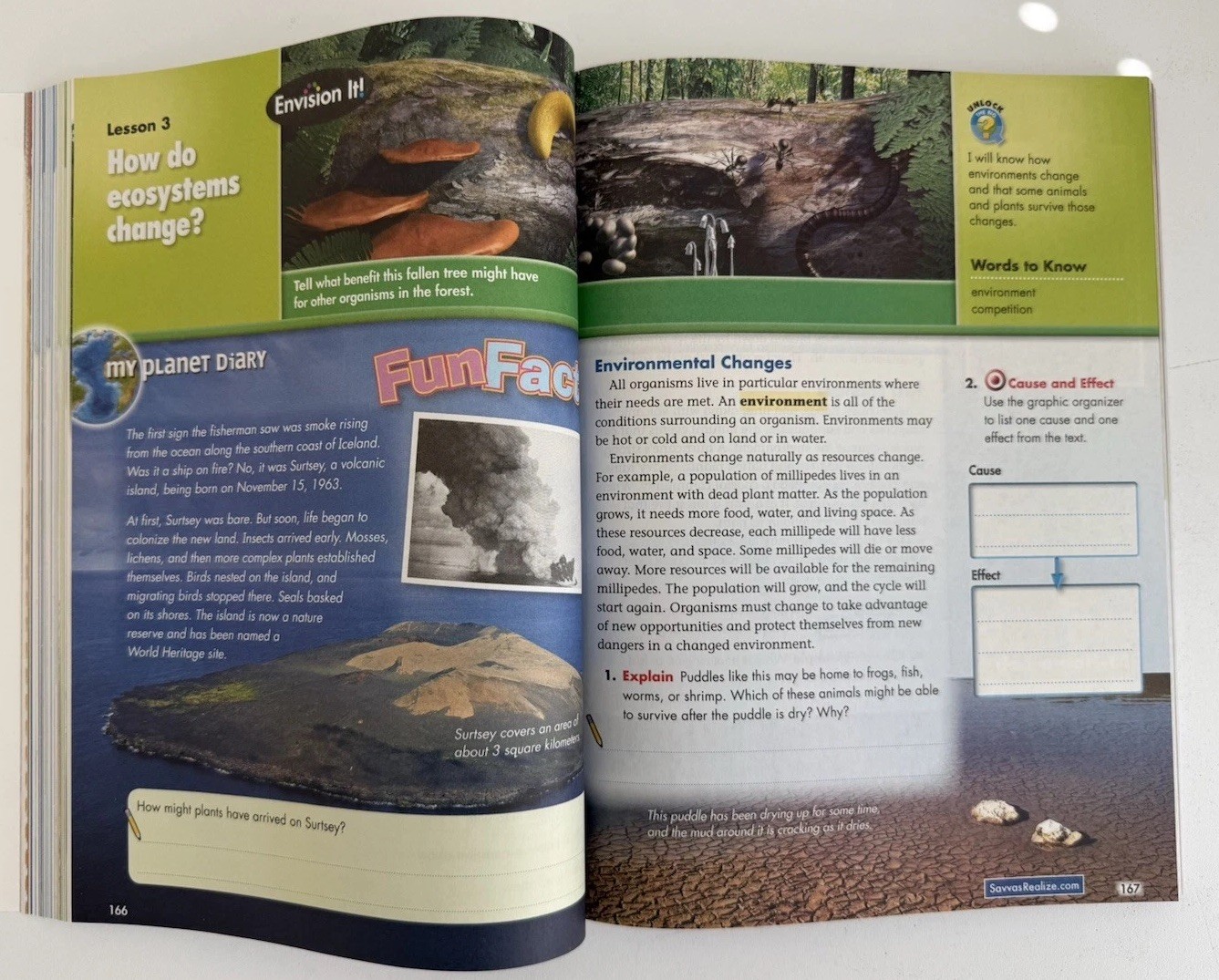 Savvas Interactive Science Grade 5 Textbook Paperback 312 Pages English