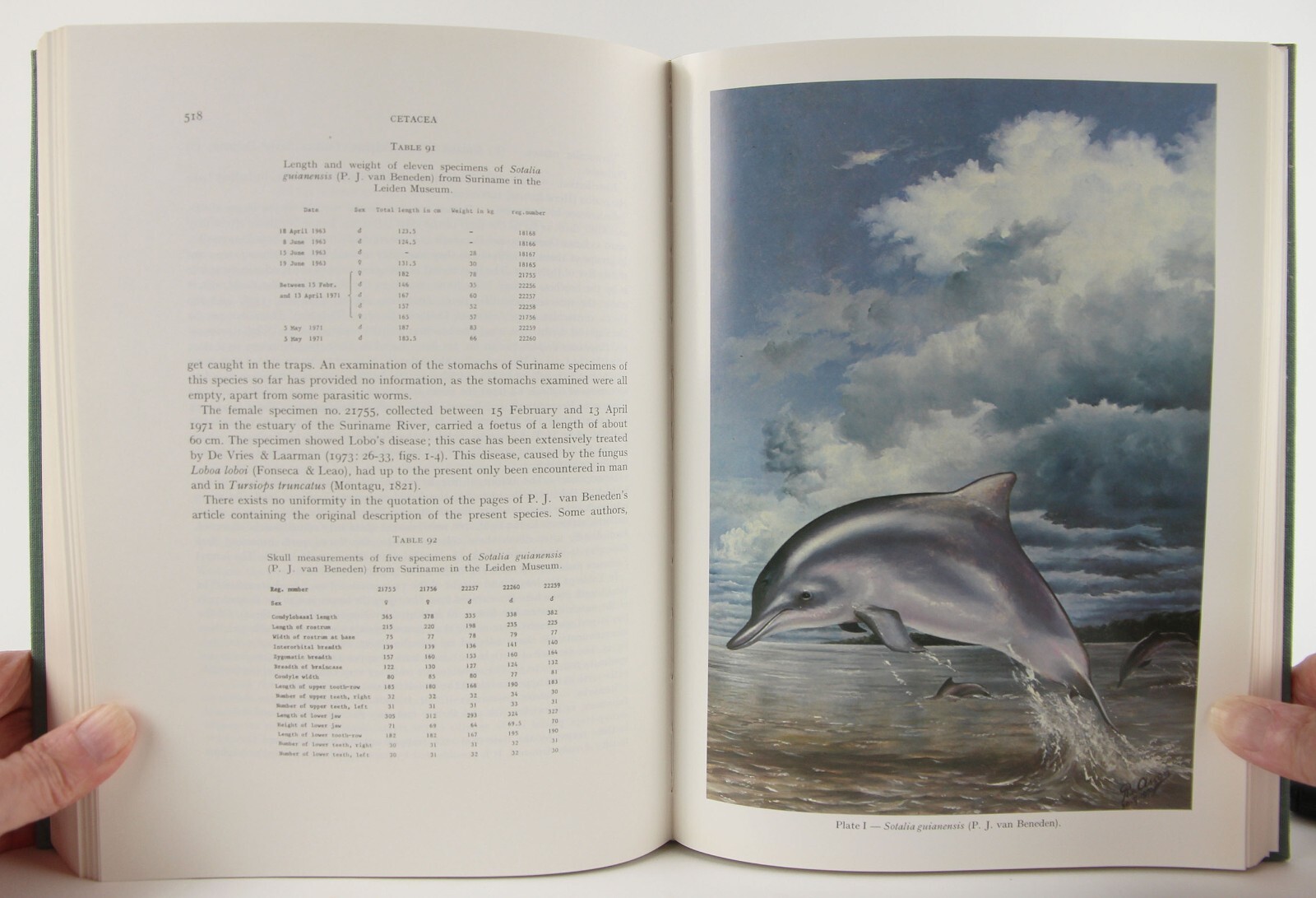 A.M. Husson’s The Mammals of Suriname 1978 Brill VG+ Zoology 152 Species