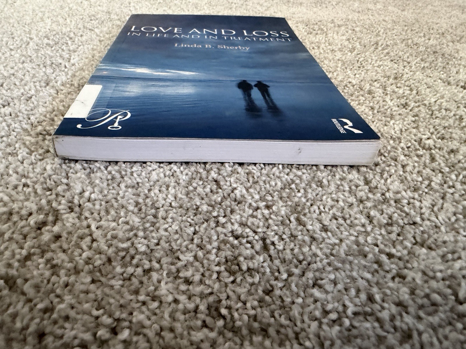 Love and Loss in Life and in Treatment by Linda B Sherby: New