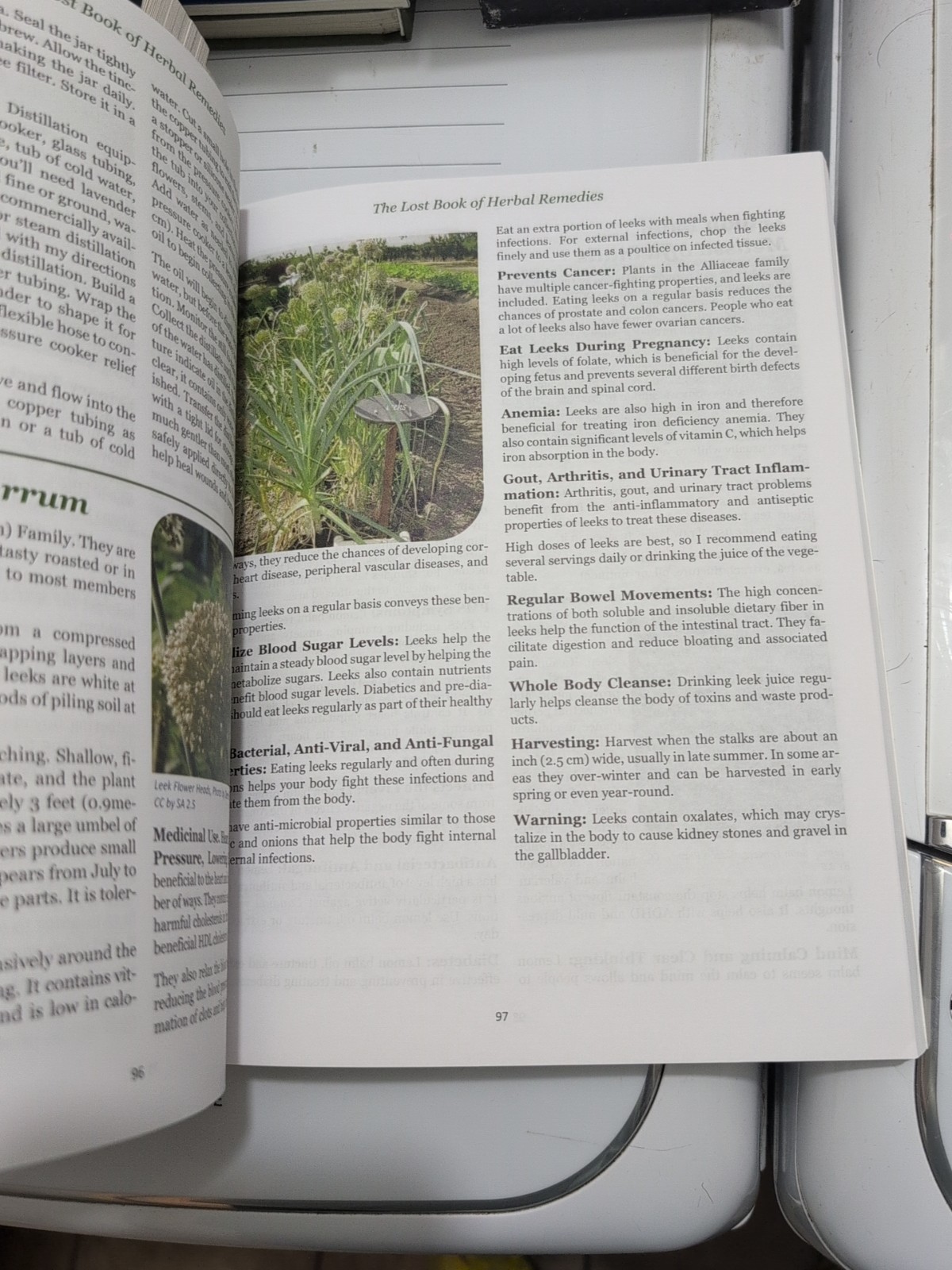 The Lost Book of Herbal Remedies (paperback with color pictures)