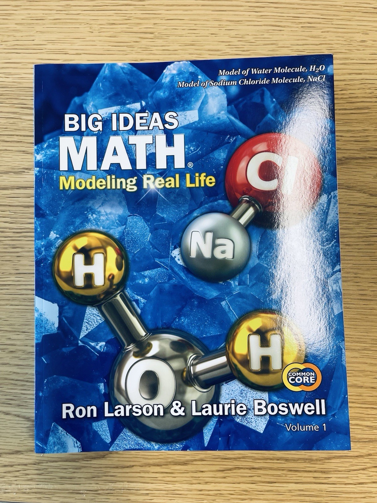 Big Ideas Math Workbook – Grade 5 Volume 1 Student Edition (Name Inside Cover)