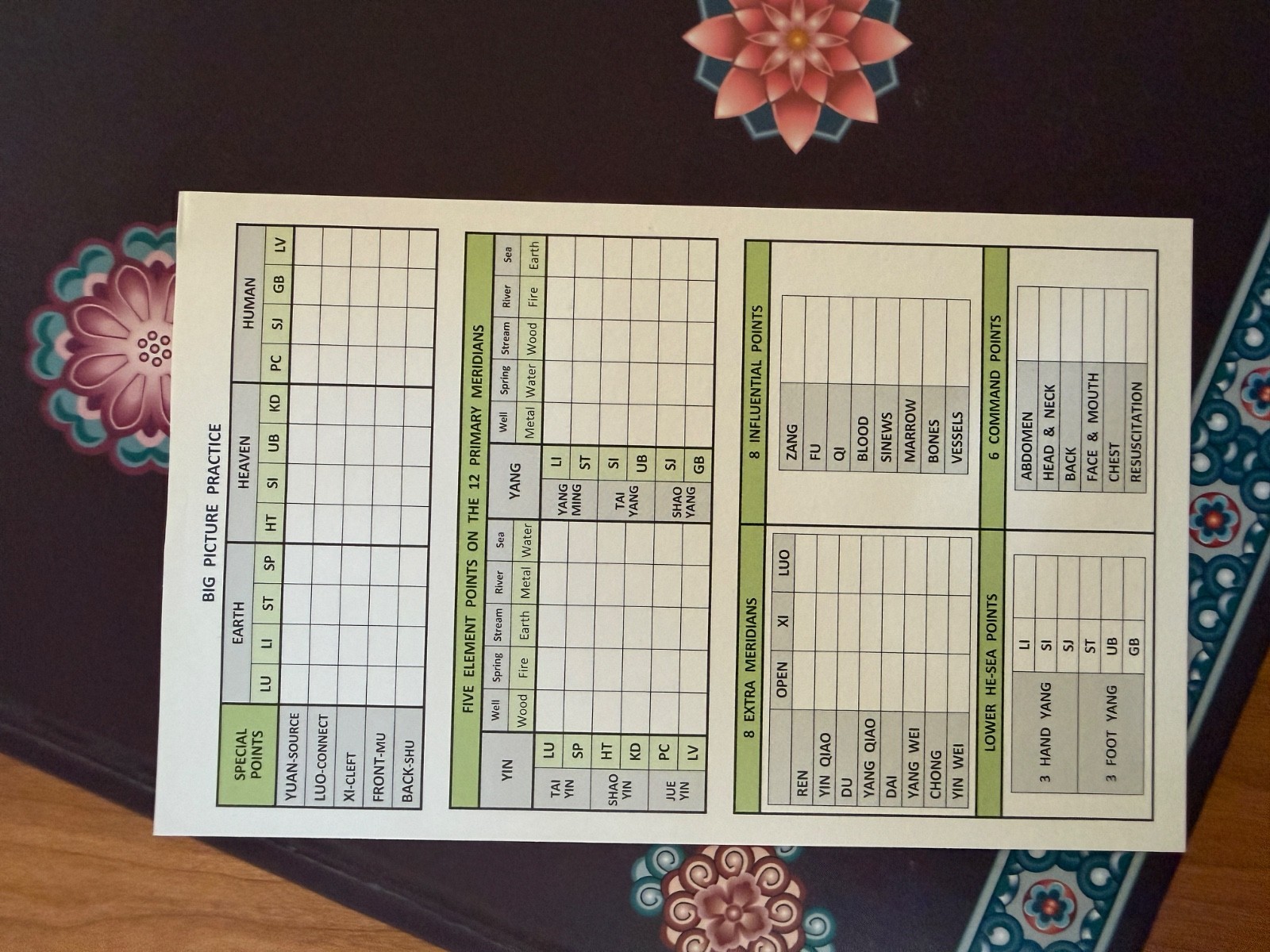 Handbook of Oriental Medicine 5th edition and mini 3rd edition