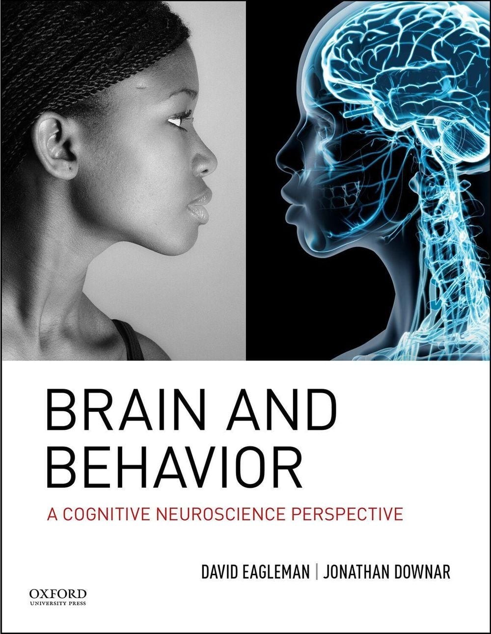 Brain and Behavior: A Cognitive Neuroscience Perspective by David Eagleman (Engl