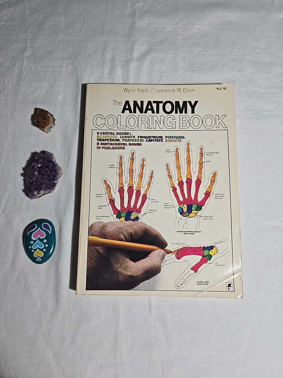 Anatomy Coloring Book 1977 Vintage Wynn Kapit Elson Science Practice Clean Pages