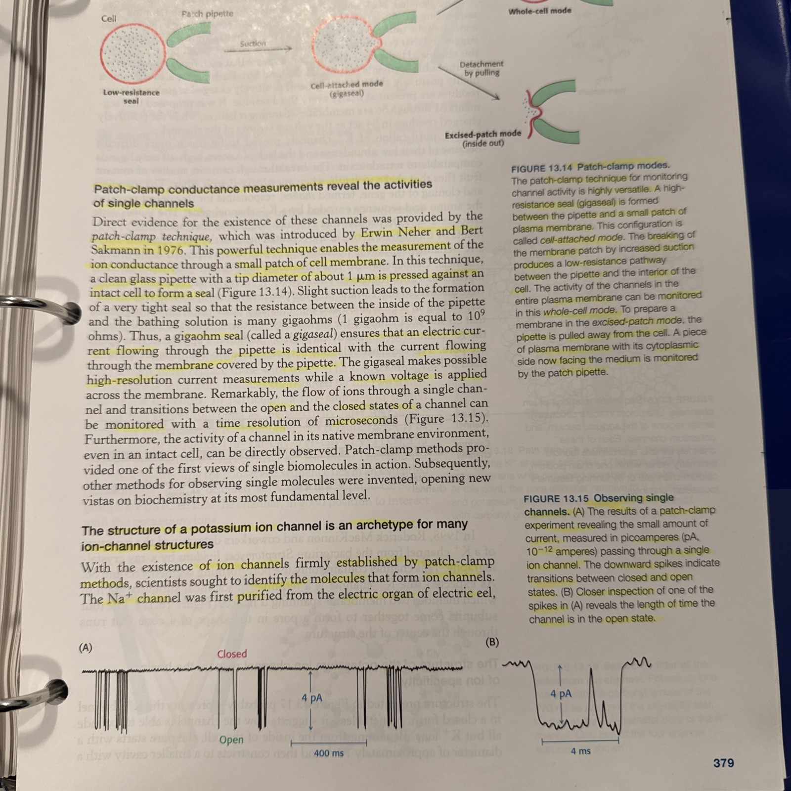 Biochemistry by John L. Tymoczko, Jeremy M. Berg, Gregory J. Gatto Jr. and…