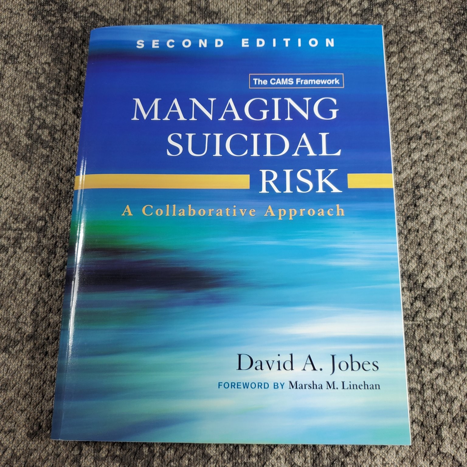 Managing Suicidal Risk David A. Jobes 2016 Second Edition Psychology Guilford