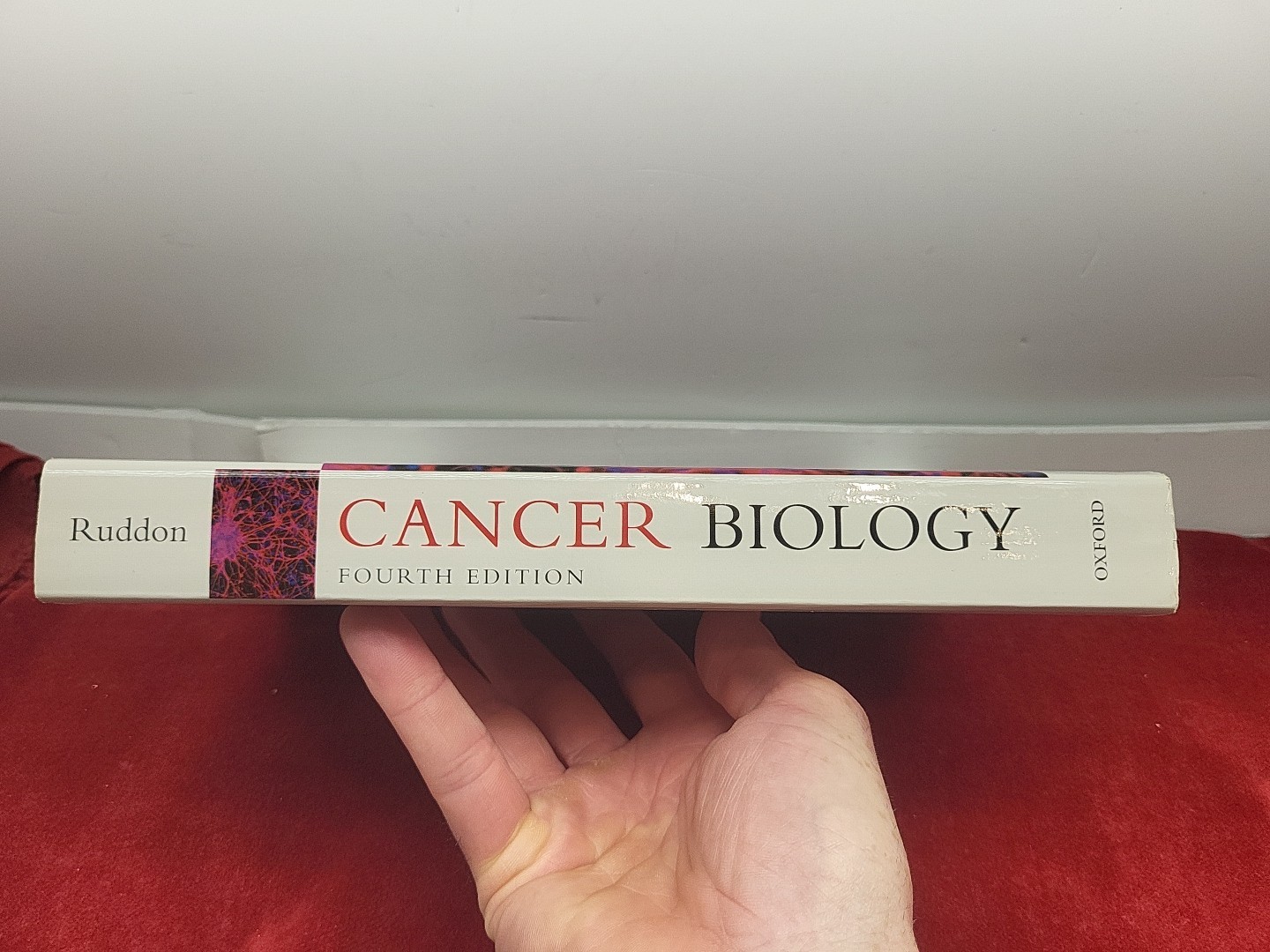 Cancer Biology – Fourth 4th Edition – Raymond Ruddon (PB, 2007)