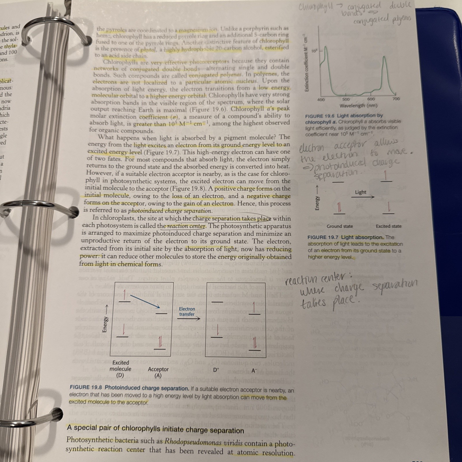 Biochemistry by John L. Tymoczko, Jeremy M. Berg, Gregory J. Gatto Jr. and…