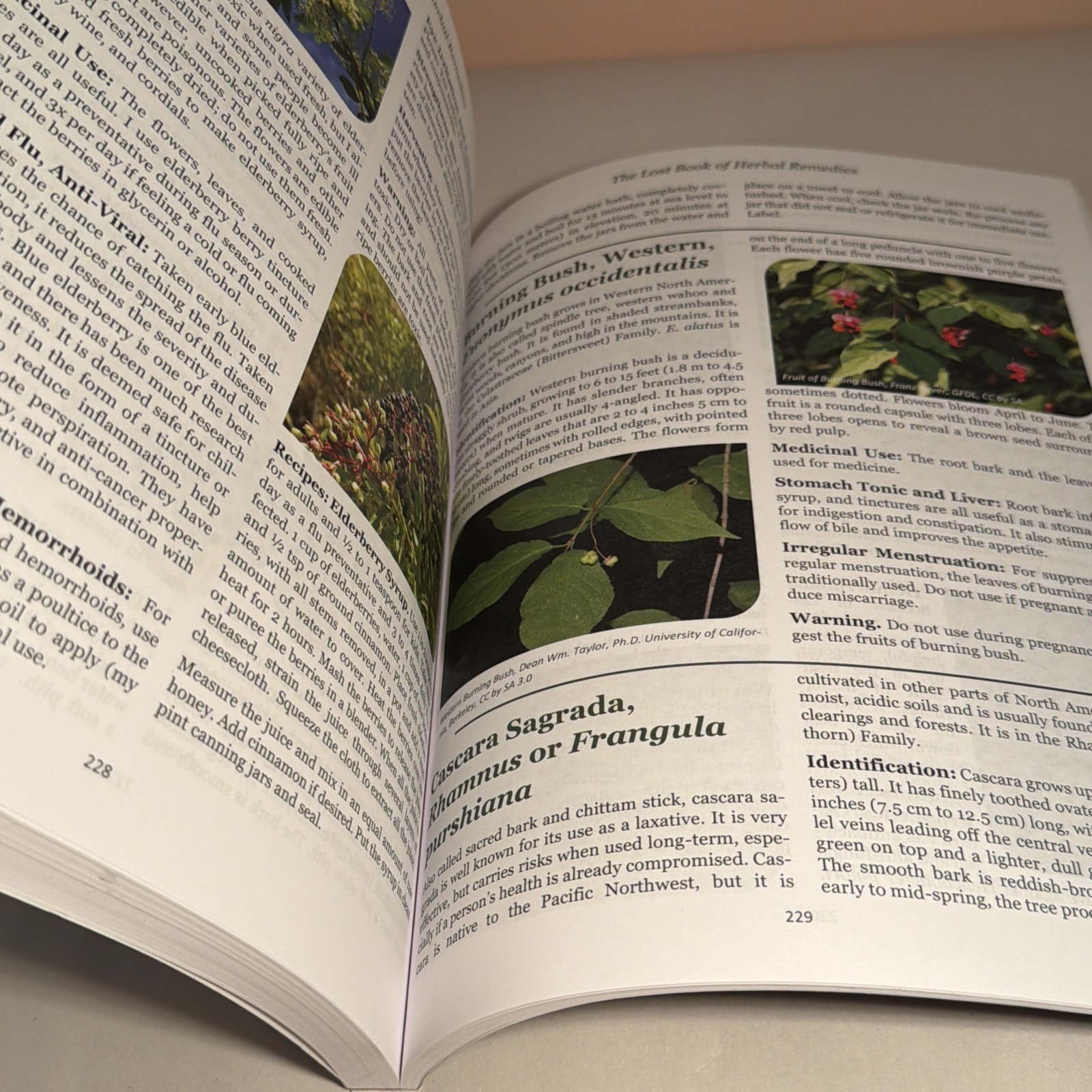 The Lost Book of Herbal Remedies (paperback with color pictures)
