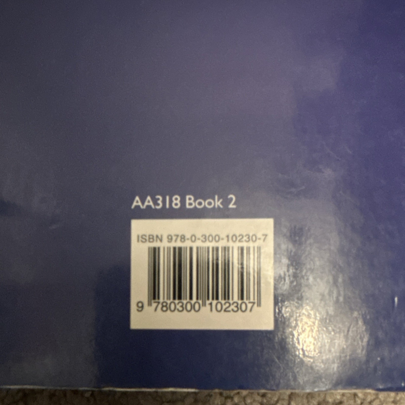 Art of the Avant-Gardes AA318 Book 2 Steve Edwards & Paul Wood Yale Paperback