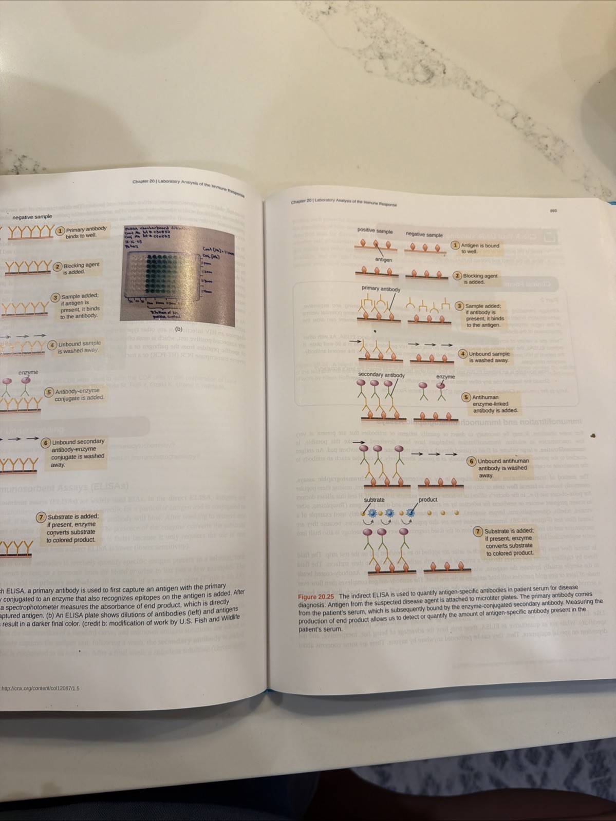 Microbiology – Hardcover By Openstax – GOOD